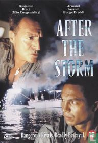 After the Storm
