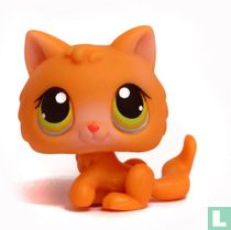 chaton