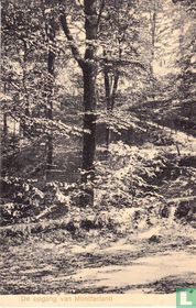 De opgang van Montferland