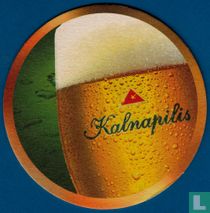 Kalnapilis 