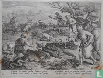 Vipera in Italiae gaudet latitare palude