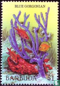 Animaux marins