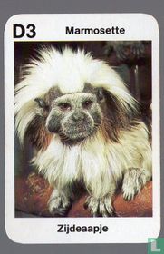 Marmosette/Zijdeaapje