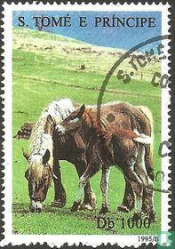 Chevaux acheter