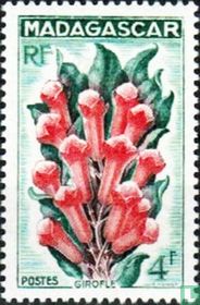 Plantes