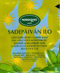 Sadepäivän Ilo 