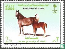 Chevaux arabes