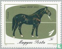 Nonius XXXVI. (1883) acheter