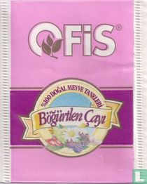 Bögürtlen Cayi