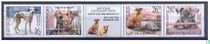 Protection des animaux