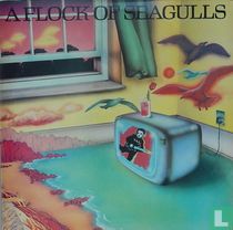 A Flock of Seagulls