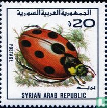 Insectes