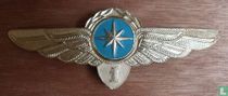 Aeroflot - Navigator 1e klas 1970s - 1980s