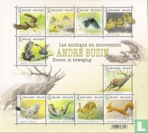 Animals in Motion