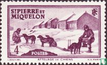 Dog sled
