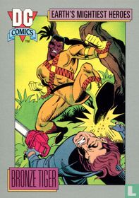 Earth's Mightiest Heroes: Bronze Tiger