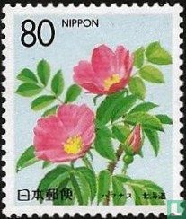 Japanese rose for sale