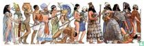The evolution of man 