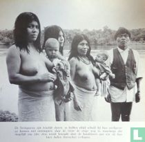 Seringueros Brasil