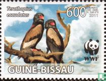 Bateleur des savanes - WWF