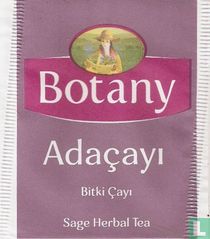 Adaçayi 