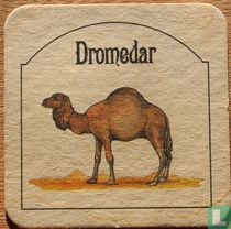 Bremme's Tierleben - Dromedar
