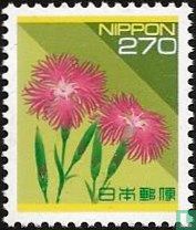 Splendor Carnation for sale