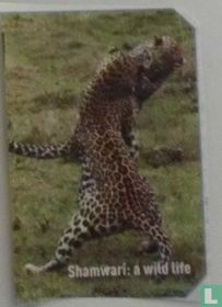 Shamwari: a wild life