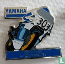 Yamaha P.Pons Blauw