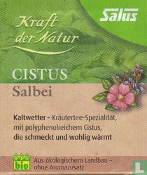 Cistus Salbei