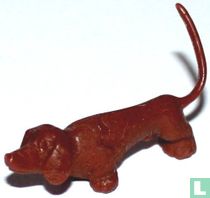 Dachshund