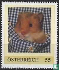 Hamster