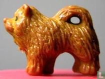 Chow - brun