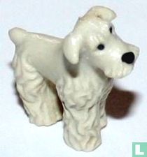 Fox Terrier