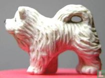 Chow - blanc