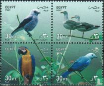 Oiseaux