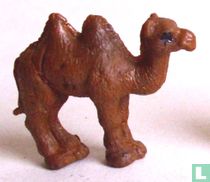 Camel - old form