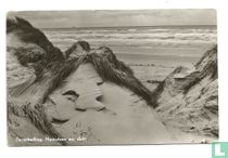 Terschelling Noordzee en duin