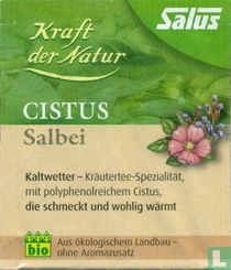 Cistus Salbei 