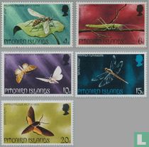 Insects