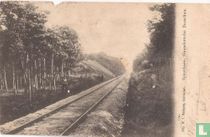 Spoorbaan, Gaandersche Bossen
