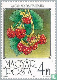 Himbeeren kaufen