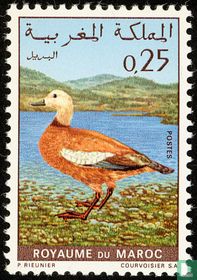 Oiseaux