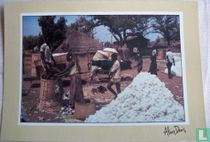 Marché au coton