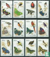 Butterflies and birds