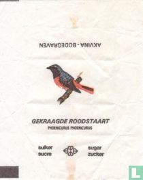 Gekraagde Roodstaart