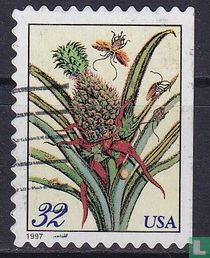 Ananas acheter