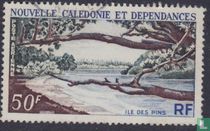 île des pins acheter