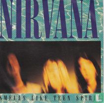 Smells like teen spirit