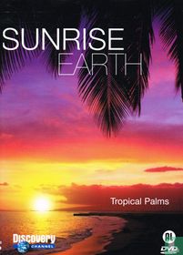 Sunrise Earth - Tropical Palms